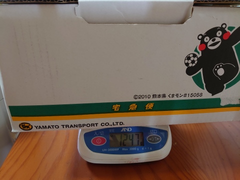 初物熊本産ニンニク芽花蕾付1kg(10束〜11束)