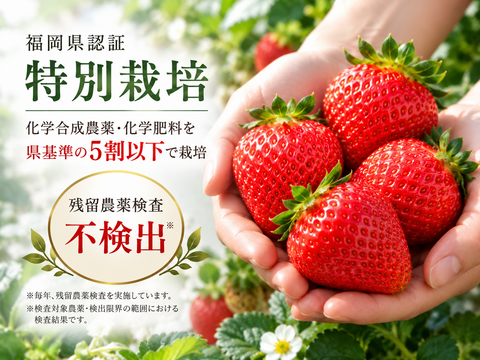予約販売 2026年11月下旬～順次発送】 重箱 「極」1段（赤）：福岡県産
