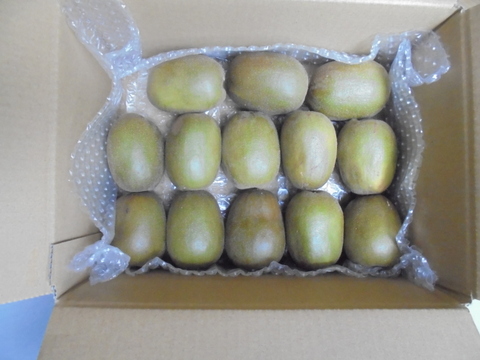 レインボーレッド （レッドキウイ）　中玉、大玉混合２．２Kｇ　糖度20度