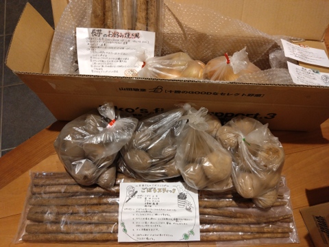 ☆お待たせしました☆令和7年産🥔🧅山田敏彦【十勝のGOODなセレクト野菜】セットA 合計約13kg