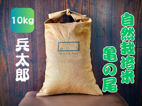 【新米令和７年】『兵太郎』秘境 金山町産　幻のお米 亀ノ尾10kg