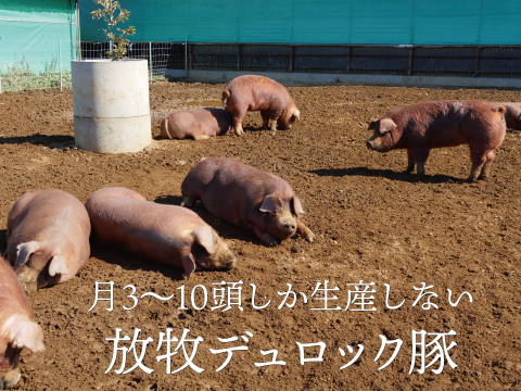 ウデモモ切り落とし（冷凍）1kg（真空パック200g×5）〖放牧豚・デュロック純粋種〗