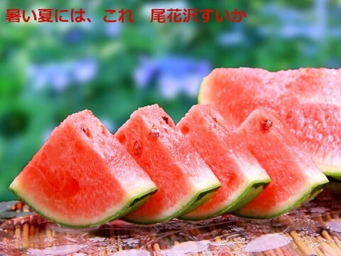 予約受付】甘～い尾花沢大玉夏すいか L x1玉 (羅王ザ