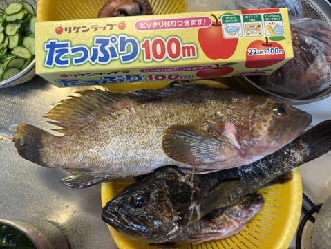 モモタロウさん専用真蛸(0.8㎏）+子だこ２匹+ハーフセット