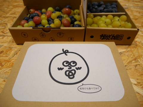 ゴールデンシャインマスカット&BKシードレス