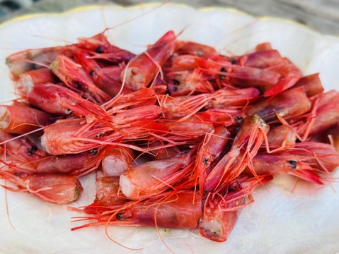 出汁専用！深海シマエビのえび頭だけ500g