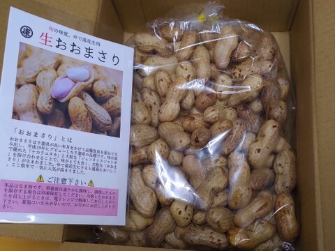 【旬物】ぷりぷり大粒！千葉県産おおまさり1kg 食べ応えバツグンのジャンボ落花生！