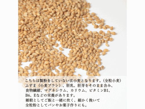キタ玄粒 玄小麦 薄力系 4kg 800g×5 青森県産単一品「キタカミコムギ」100％ 日本の小麦 国産小麦 国産玄麦