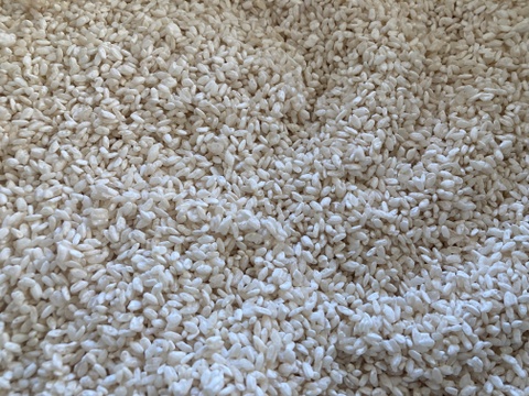 味噌や塩麹の材料に、農薬化学肥料不使用栽培　白米糀（4kg）