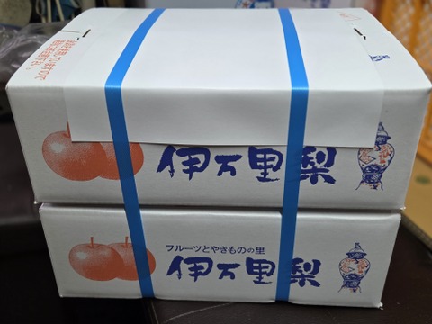 とにかく美味しい「あきづき梨」3キロ箱 × 2梱包