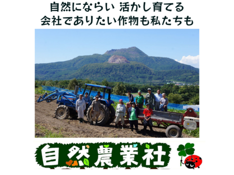 朝採り！オーガニックズッキーニ　4ｋｇ　北海道産　農薬・化学肥料・除草剤不使用