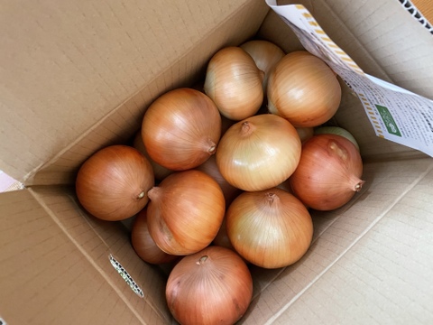 【お陰様でリピーター様多数！】淡路島玉ねぎ「中生種」５kg　特別栽培　ひょうご安心ブランド認証取得