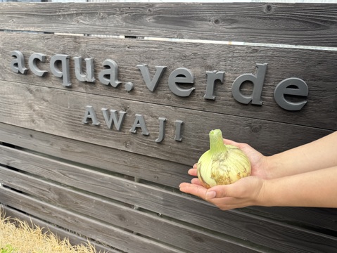 旬だよ！甘い『淡路島産新玉ねぎ』(3㎏)