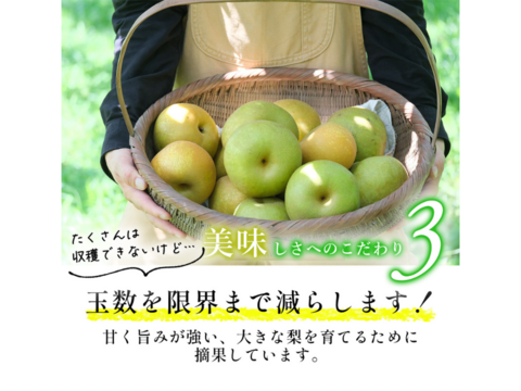 【ありがとうを伝える専用BOX】幸水　６～7玉【シャキッ！と食感♪】甘くてさっぱりな梨♪　お中元にもピッタリ！　発送は７月下旬頃～