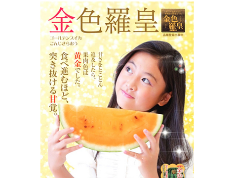 予約】尾花沢スイカ大玉 金色羅皇＋羅皇ザ・スウィート 2L~3L 各1玉14