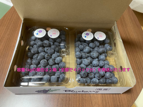 【2025最後の受付！有機JAS認証】信州安曇野の大地の力で育ったオーガニックブルーベリー（1kg)【生食用】