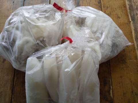 【関門海峡産】刺身用紋甲、甲イカ混合の身と下足♪ミミ付きで60サイズ箱いっぱいに