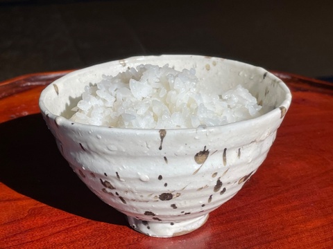 普通のお米の1.5倍、大粒の食味米、いのちの壱（３kg）