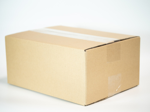 【限定価格！】★農薬＆動物性堆肥不使用！★生にんにく(福地ホワイト六片)　 サイズ混在１ｋｇ　旬はたった2週間【お店では買えない】