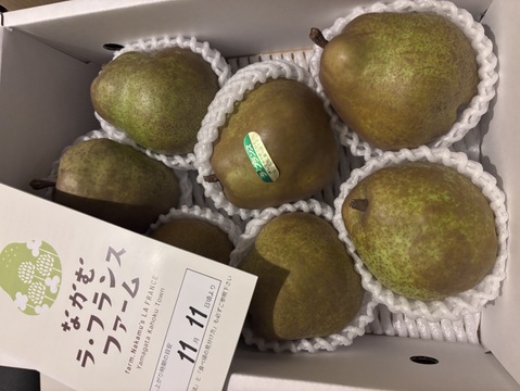 【２箱同梱】ラ・フランス🍐 2kg 特秀7~8玉入り