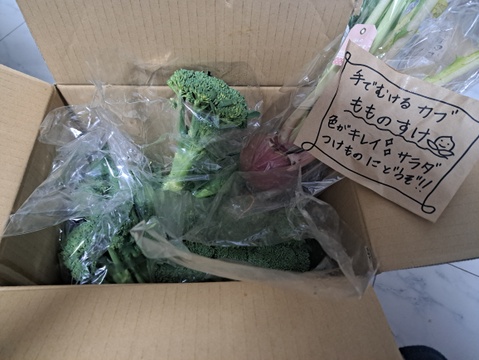 【大好評♪】主茎　 茎ブロッコリー　1350g→ 1760g  from 名水の里　神奈川県秦野市