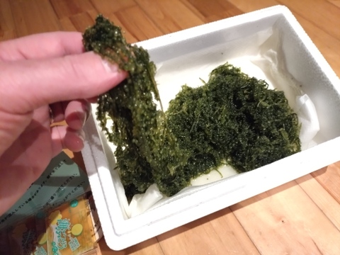 【生産者直送】生海ぶどう(茎付き) 500g