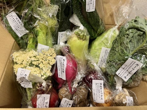 【旬のVEGE箱（Rサイズ）】土壌医＆有機農家がつくる！畑の「今」を箱いっぱいにつめこんだ野菜セット（約11〜12品種）