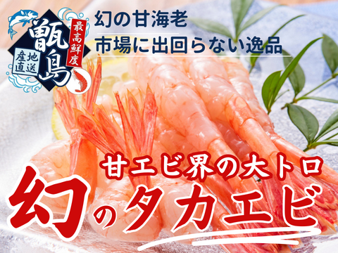 📺テレビやラジオに引っ張りだこ📺甘エビの大トロ『幻の生タカエビ』業界初パウダースノー冷凍で最高鮮度🐟20代女性漁師が手掛ける甑島ブランド【2026年10月上旬発送】