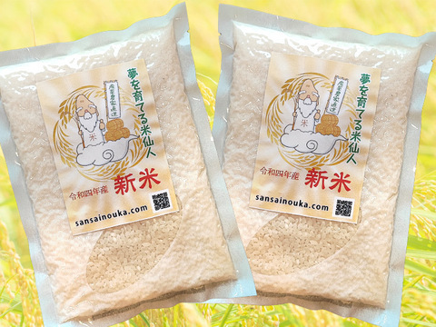 【特A受賞米】はえぬき3合×2袋　さっぱり食感！令和4年山形県庄内産　白米