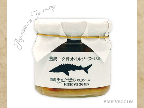 国産チョウザメのお肉ゴロゴロ！新潟チョウザメパスタソース2人前