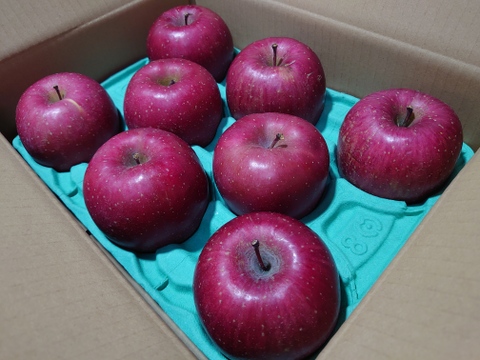 《予約受付》サンふじ　3kg（8個～11個）青森県産りんご　家庭用