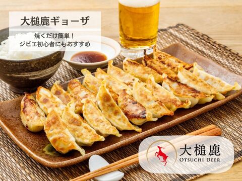 【冬ギフト】鹿餃子＆選べる味付鹿肉セット/指定日配送可能