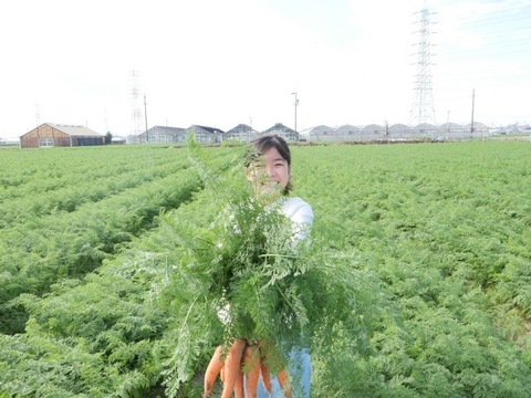 【12月上旬発送予約】マドンナキャロット【訳あり10kg】