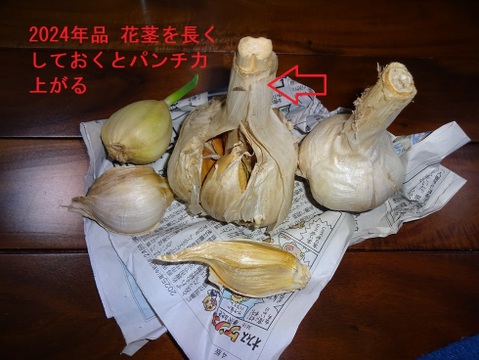 今が旬】大きさと味に感動！安心安全の農法で育てたジャンボ