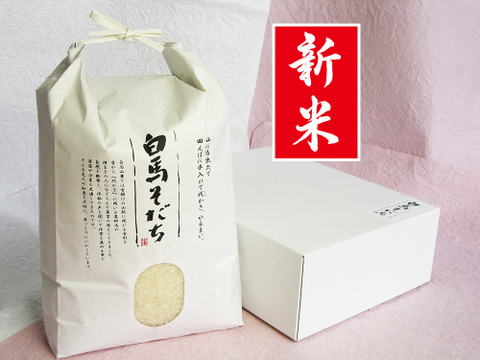 特別栽培米 ミルキークイーン(5kg)【令和3年産】　お米