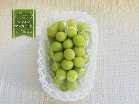 シャインマスカット　650g以上　(1房)　【ご贈答品】