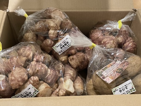【自然栽培🍀赤芽菊芋（約３kg）】珍しい赤皮の菊芋・ほのかな甘さとシャキシャキ感・サラダでも加熱でも美味しい！