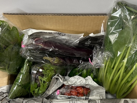 【おまかせ】オーガニック野菜セット(6品)
