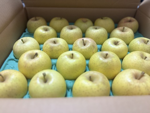 変わった名前のりんご　（藤原ロマン）5キロ　25～18玉