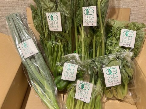 採れたて！旬の有機野菜の詰め合わせ（お試し6種）