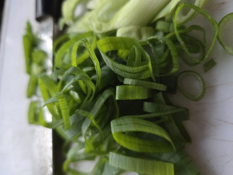 【専用箱・新鮮袋付き】堆肥、農薬無し　自然栽培ネギ　根付き　４キロ