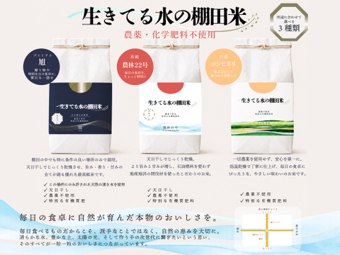 ◆生きてる水の棚田米◆農薬・化学肥料不使用・生きてる湧き水で育ったお米　玄米4kg