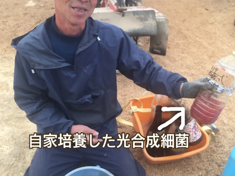 掘りたて送ります🫚新生姜２KG 酢漬けにピッタリ！爽やかな香り！天然の肥料（微生物や海水）を使って育てました！栽培期間中農薬・化学肥料不使用 ショウガ/しょうが