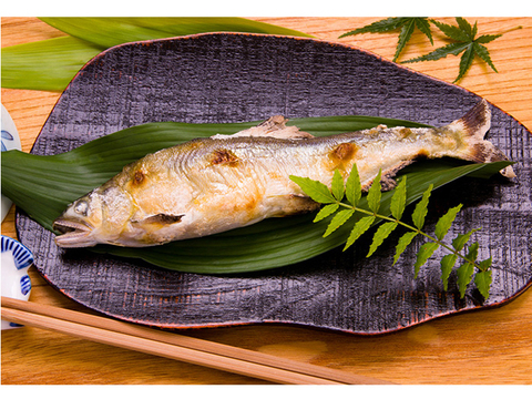 小松原様専用+喜連川湧水育ち鮎塩焼き 10尾入り×2セット【夏ギフト】【お中元】【お歳暮】「熨斗対応可」