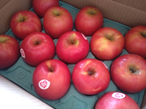 【発送中🍎】ピンクレディー®︎ 家庭用B品 5キロ箱使用 長野県 信州 安曇野 リンゴ 幻 幻のリンゴ 予約 希少 旬 小キズあり 中玉〜小玉 商品ID31409