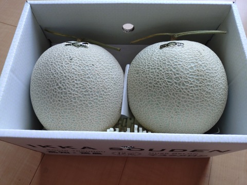 外まで甘い」2玉で2.8kg高糖度マスクメロン：高知県産のマスク