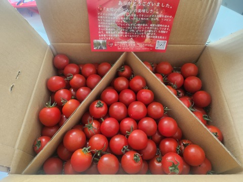 食べ出したら止まらない※糖度９度以上※おいし～甘～いフルティカ※2kg※トマ糖※