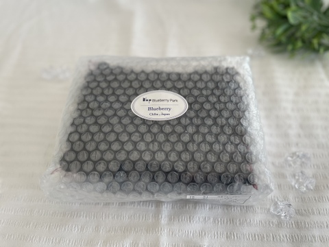 ✿冷凍ブルーベリー✿ ユーリカ中粒500g 　❃2025年度収穫❃農薬不使用