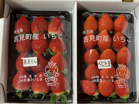 【あまりん・べにたま】食べ比べ２パック(500g)🍓