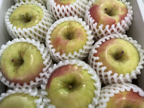 【数量限定・化粧箱入】 青森県産りんご「ぐんま名月」 約3kg　中玉【光センサー選果・冬ギフト】